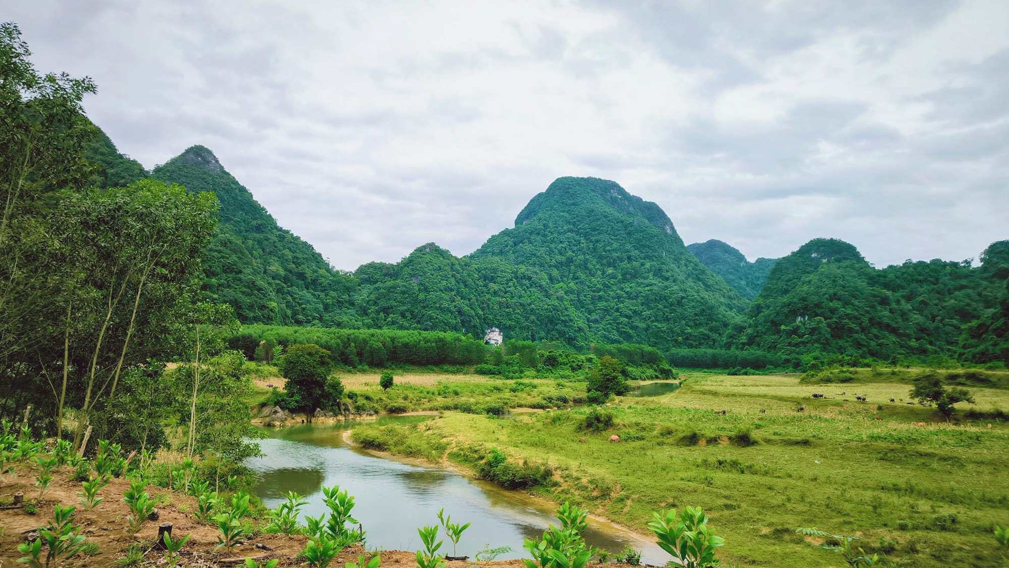 Chuyện về Tân Hóa - Làng du lịch thích ứng thời tiết tốt nhất thế giới ở Quảng Bình- Ảnh 16.