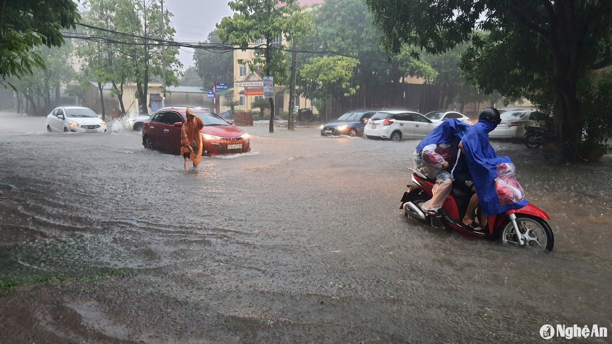 Ảnh: Mưa trắng trời suốt đêm, cả thành phố Vinh ngập trong nước- Ảnh 15.