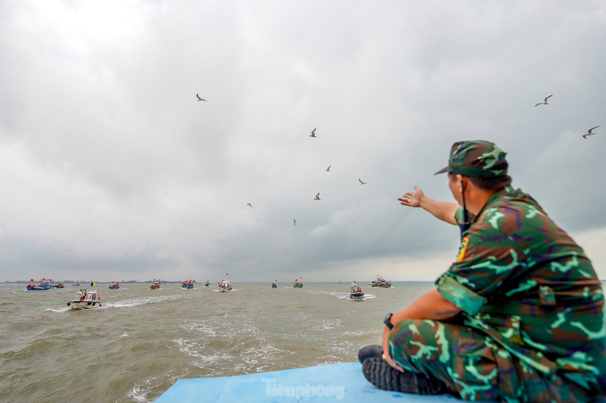 Mãn nhãn xem màn bay liệng bắt cá của nhạn biển Cần Giờ- Ảnh 2.