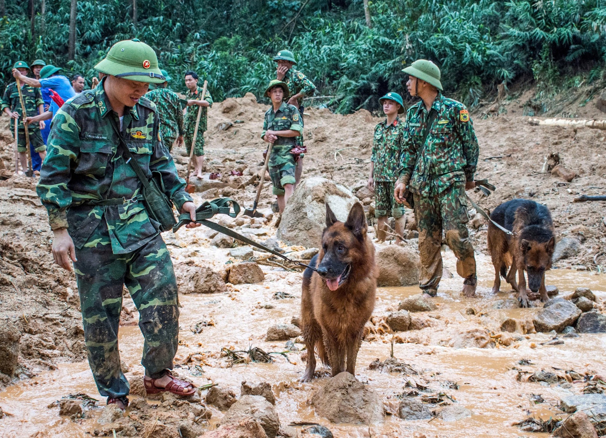 Cảm động của những chú quân khuyển Biên phòng làm nhiệm vụ tại Làng Nủ- Ảnh 4.