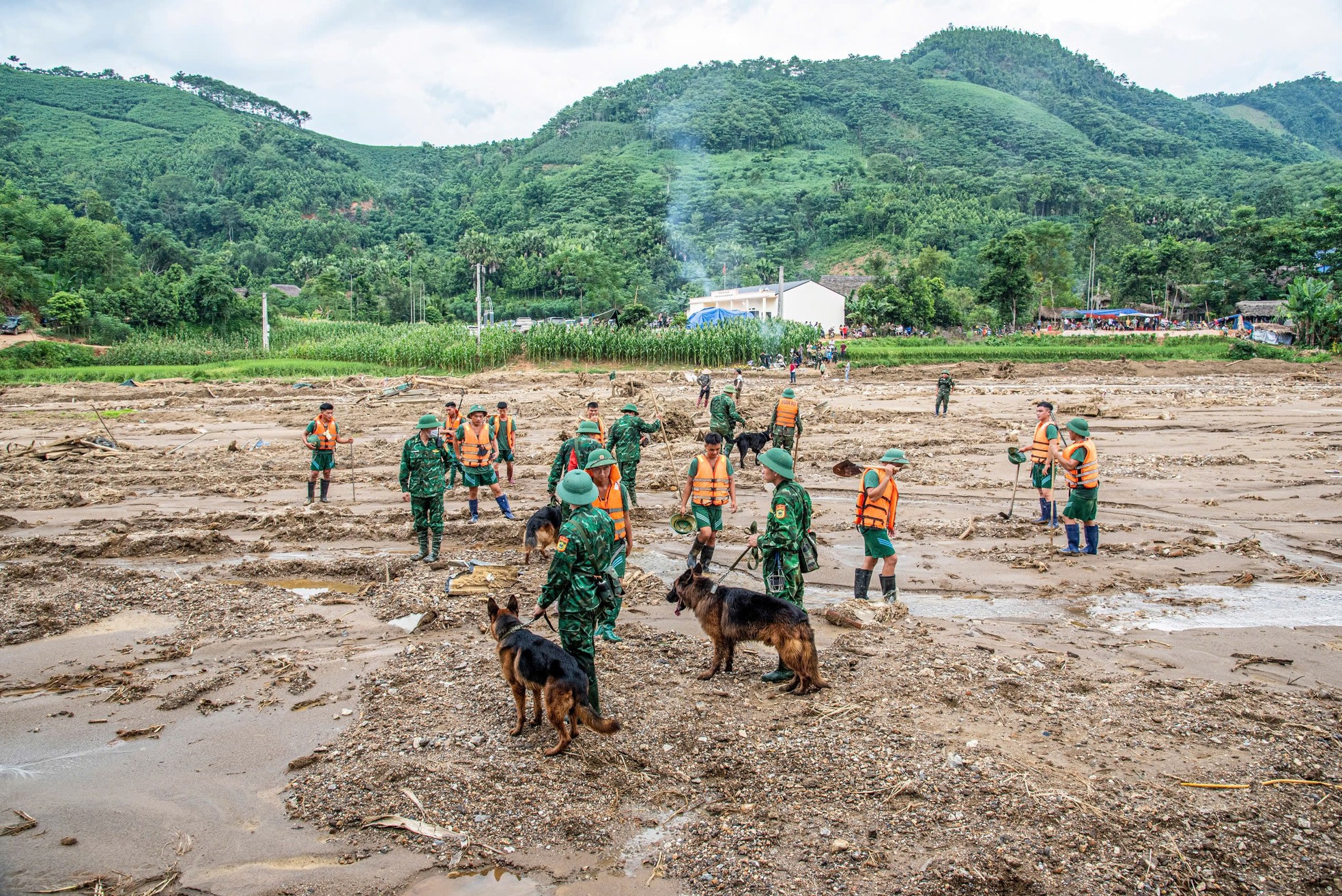 Cảm động của những chú quân khuyển Biên phòng làm nhiệm vụ tại Làng Nủ- Ảnh 5.