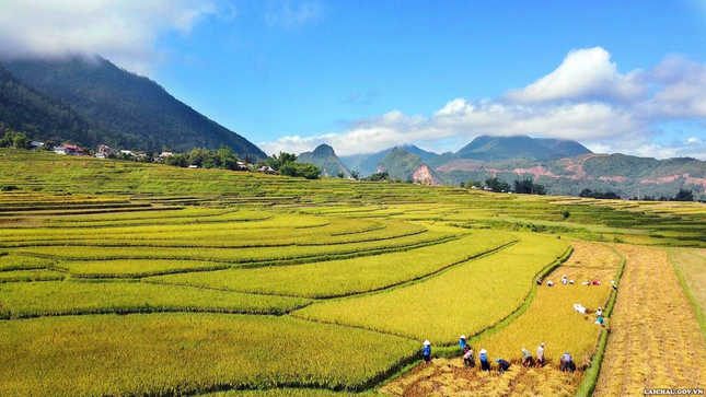 Ruộng bậc thang Lai Châu: Tuyệt tác của thiên nhiên- Ảnh 1.