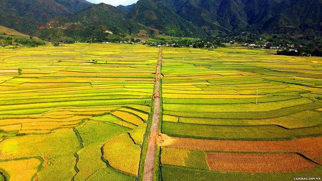 Ruộng bậc thang Lai Châu: Tuyệt tác của thiên nhiên- Ảnh 2.