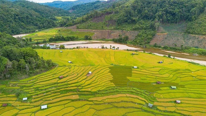 Đến Măng Đen thưởng ngoạn ruộng bậc thang Kon Tu Rằng- Ảnh 1.