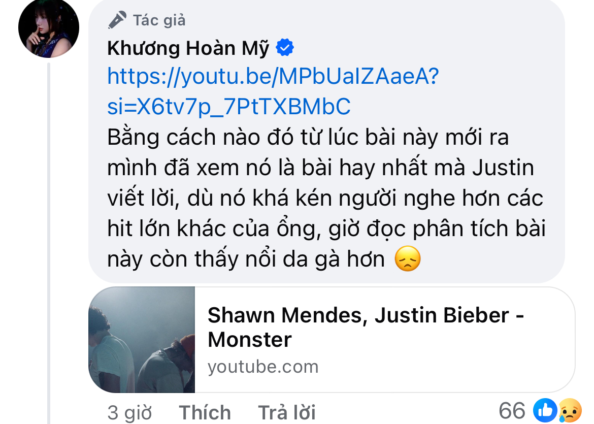 Hari Won và dàn sao Việt bức xúc lên tiếng vụ Justin Bieber- Ảnh 3.