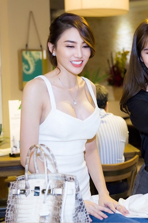 Chiếc túi Hermès bà Trương Mỹ Lan tiếc nuối: 7 năm trước khiến showbiz Việt loạn lạc vì drama "auth - fake"- Ảnh 13.