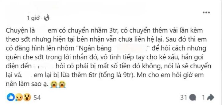 Lên mạng hỏi cách “xin” lại tiền chuyển khoản nhầm, bị lừa đến hết sạch tiền trong tài khoản- Ảnh 2.