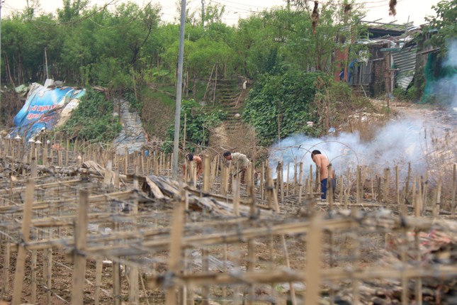 Những cánh đồng hoa 'biến mất' giữa mùa đẹp nhất Hà Nội- Ảnh 2.