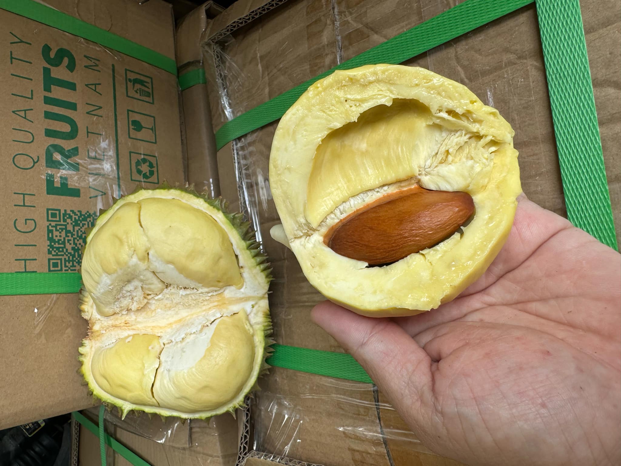 Loại sầu ri&ecirc;ng chỉ bằng nắm tay nhưng h&aacute;i tới đ&acirc;u b&aacute;n sạch tới đ&oacute;