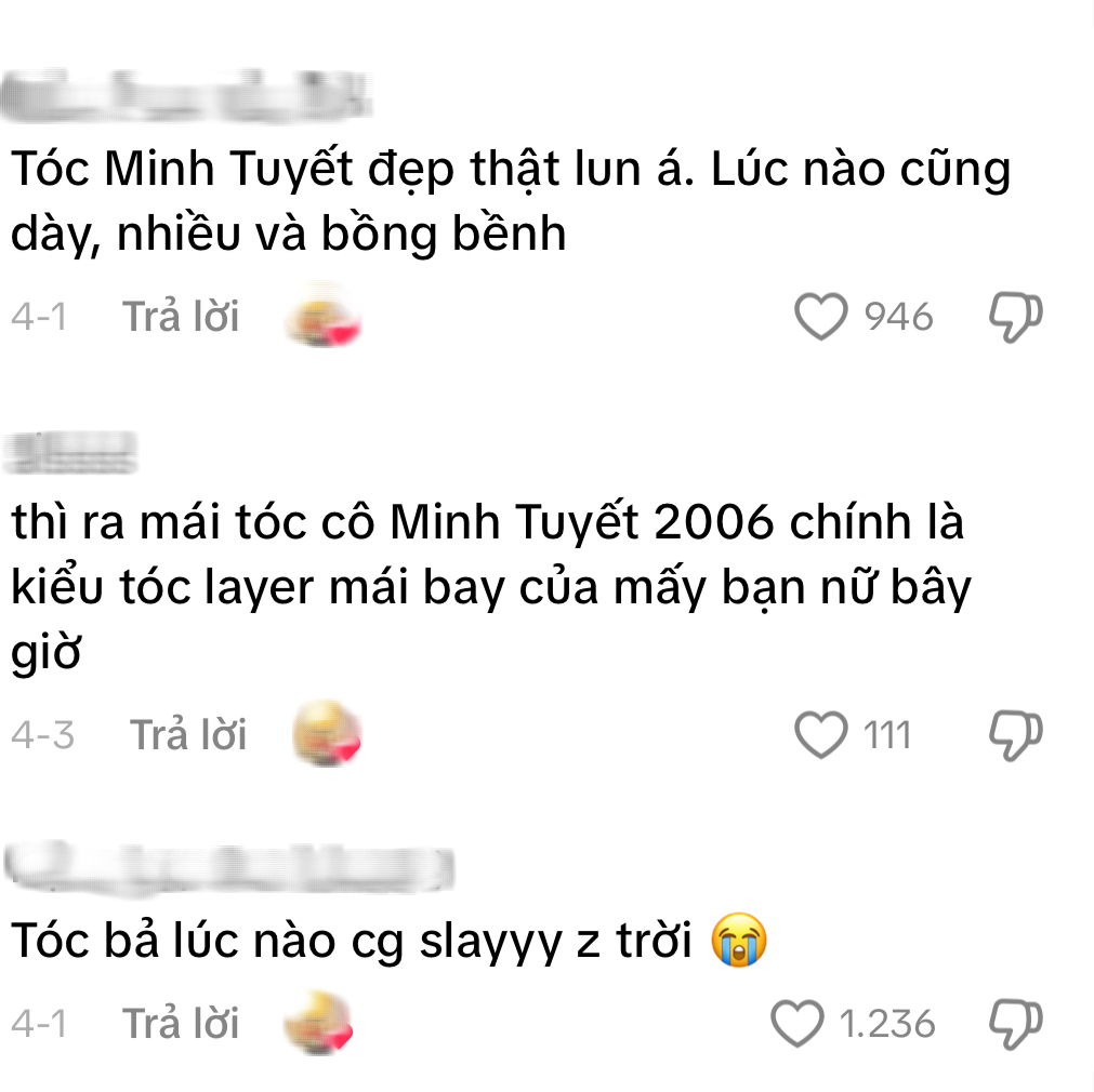 Chị đẹp có mái tóc tỉa đỉnh nhất, bao năm qua chưa ai địch nổi- Ảnh 4.