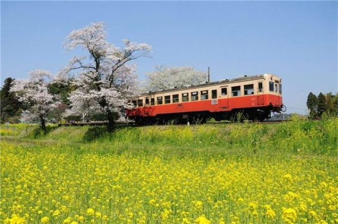 Chuyến tàu đi 5.000km chỉ mất hơn 1,8 triệu đồng: Hành khách được "du hành" không gian, thời gian, thưởng thức cảnh quan ngoạn mục- Ảnh 1.