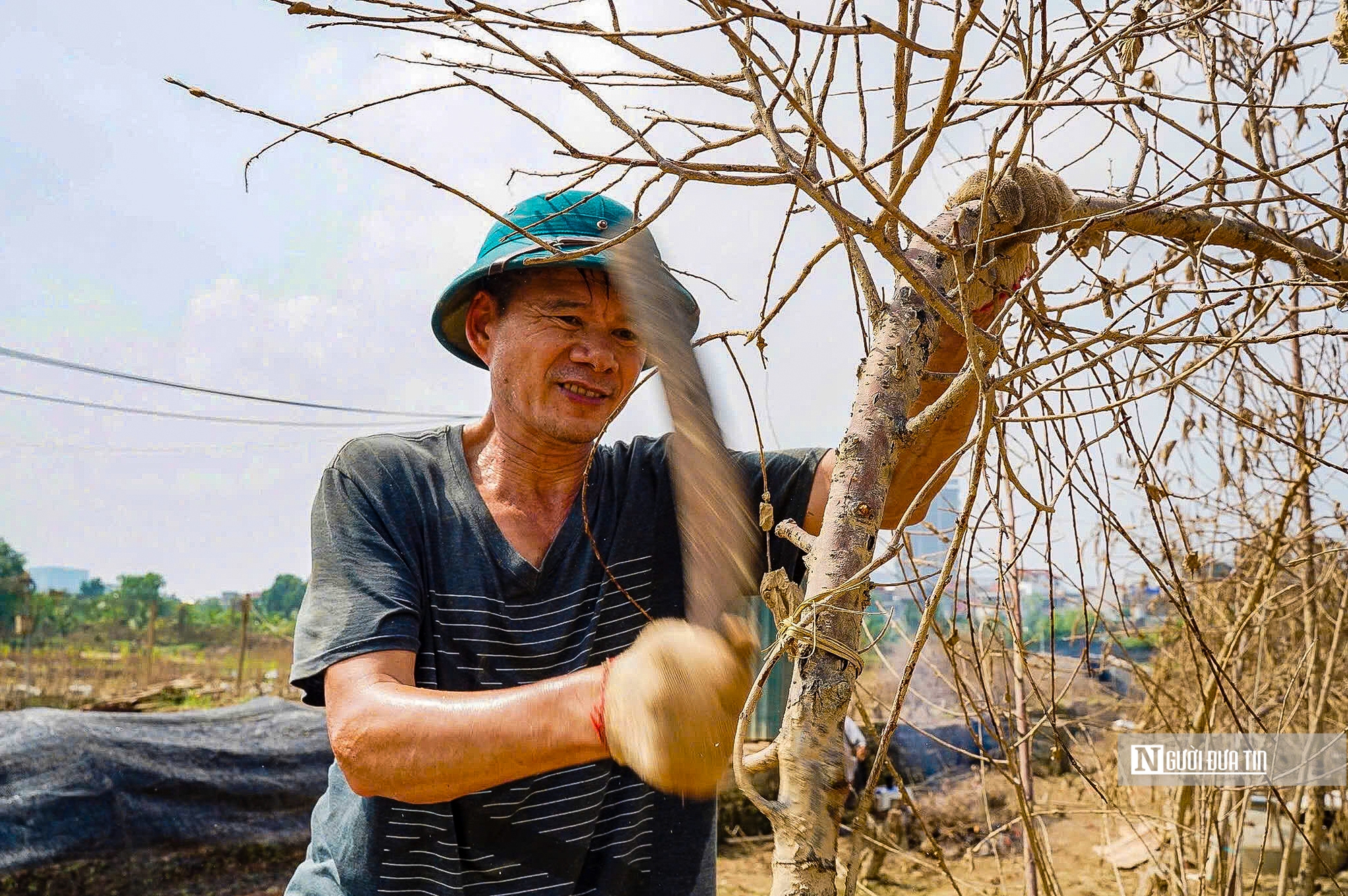 Hiện trạng khu vực ven sông Hồng sau hơn 3 tuần nước lũ đi qua- Ảnh 12.