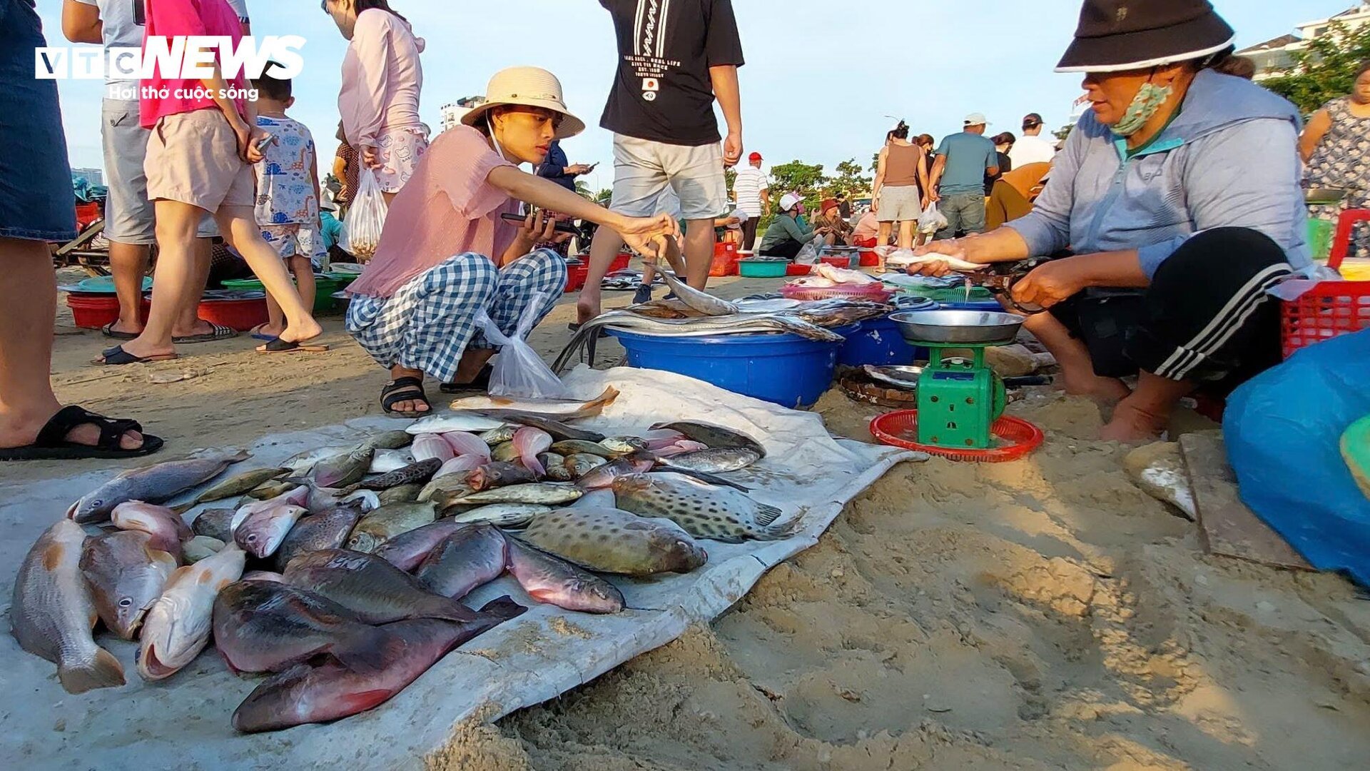 Độc đáo chợ 'chồm hổm' ở Đà Nẵng, cá mực tươi rói, nhìn là muốn mua- Ảnh 7.