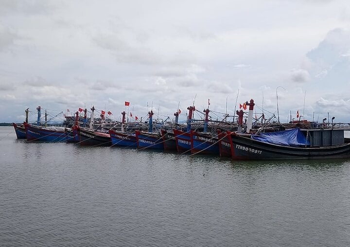 Siêu bão Yagi quần thảo Biển Đông, gần 9.000 ngư dân còn ngoài khơi- Ảnh 1.