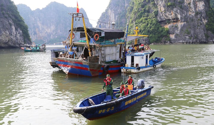 Ứng phó siêu bão Yagi, Quảng Ninh và Thái Bình cấm biển- Ảnh 1.