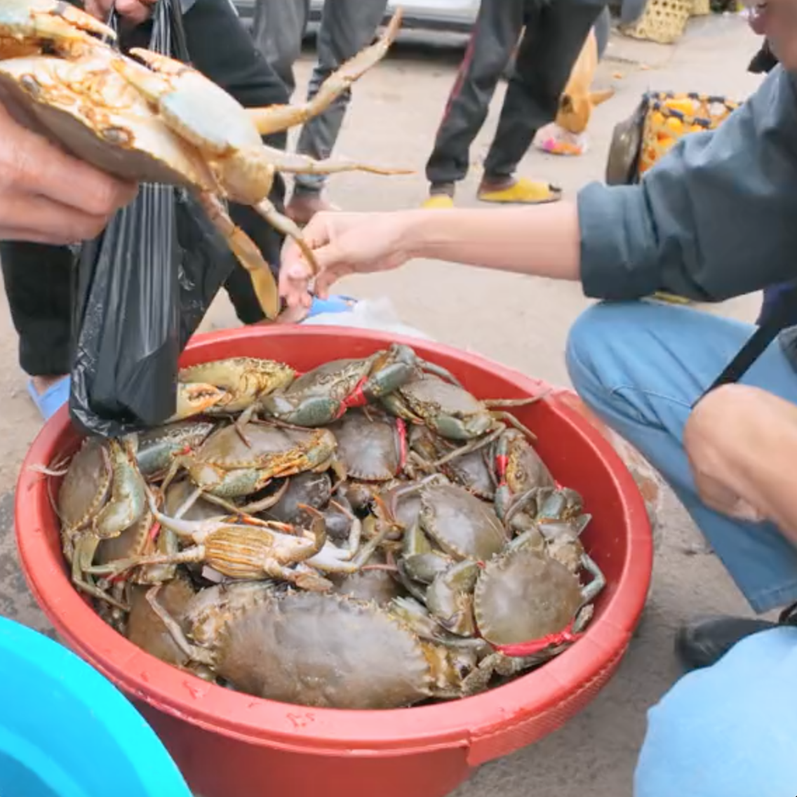 Khoai Lang Thang khiến dân tình "nghi ngờ" khi nói cua biển châu Phi 65k/kg mà ngon như cua Cà Mau- Ảnh 1.