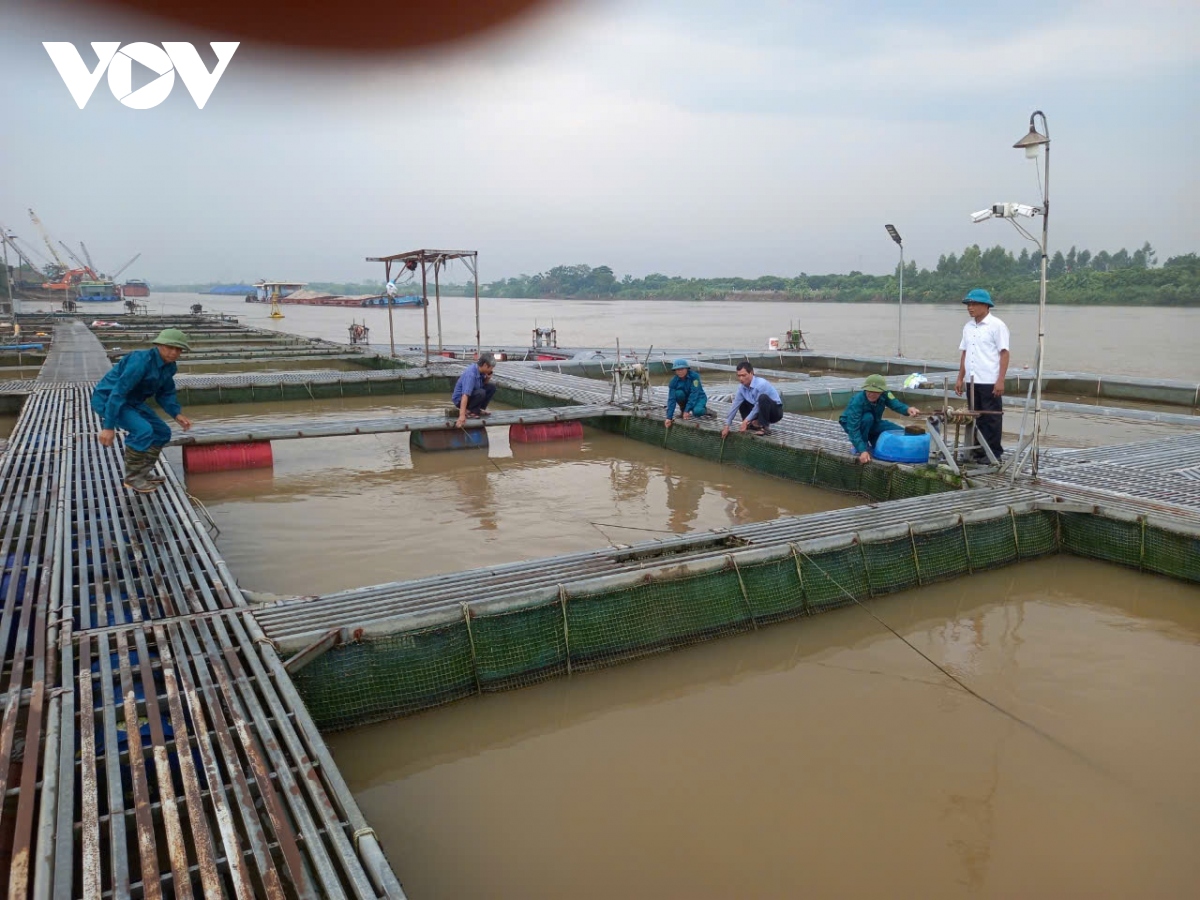 Trực tiếp: Siêu bão gây mưa lớn ở Hà Nội, cây đổ đè chết người- Ảnh 11.