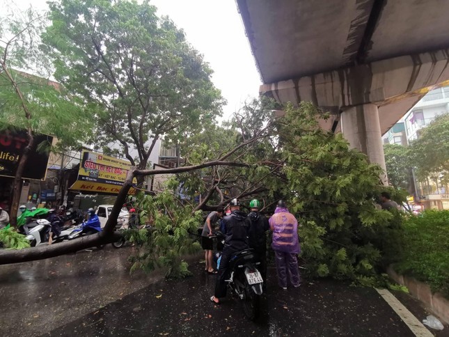 Hà Nội có thể đón gió giật cấp 10 do siêu bão YAGI- Ảnh 1.