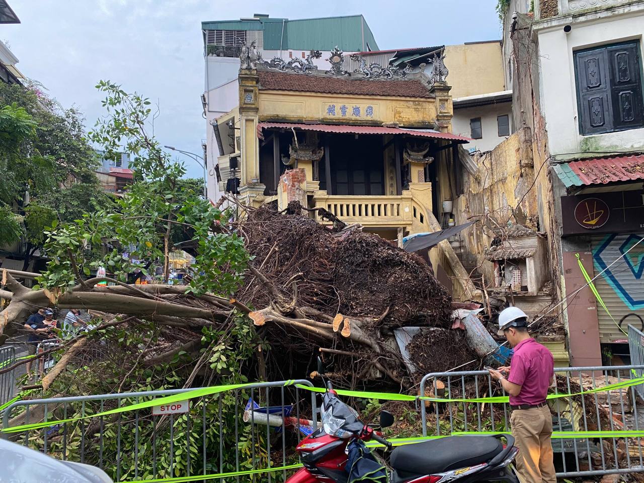 Trực tiếp: Siêu bão Yagi chưa đổ bộ đã gây mưa lớn ở Hà Nội, cây đổ đè chết người, sập tường nhà cổ- Ảnh 6.