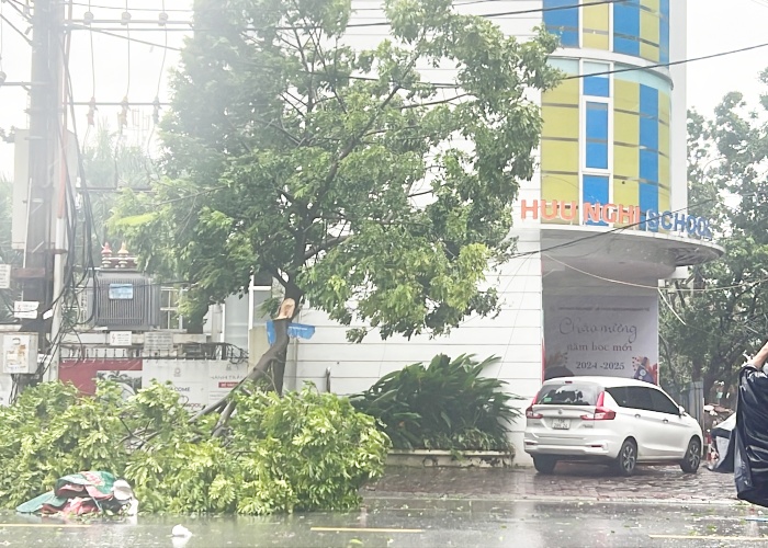 Toàn bộ diễn tiến bão số 3 Yagi đổ bộ chiều tối 7/9: Nhiều tỉnh thành thiệt hại nặng nề, Hà Nội cây đổ la liệt- Ảnh 50.