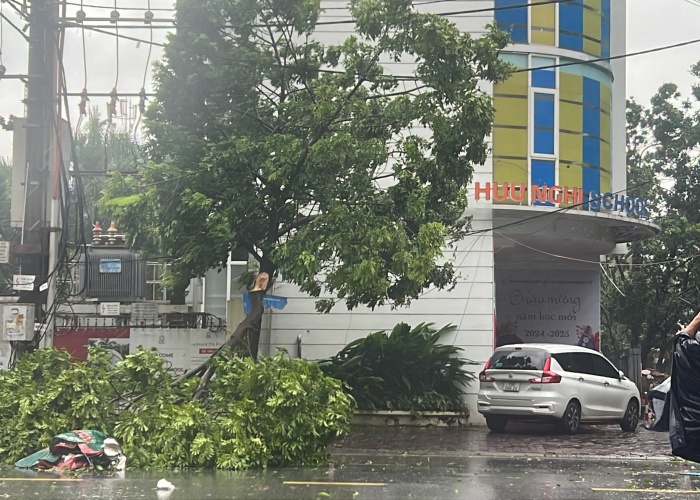 Toàn bộ diễn tiến bão số 3 Yagi đổ bộ chiều tối 7/9: Nhiều tỉnh thành thiệt hại nặng nề, Hà Nội cây đổ la liệt- Ảnh 34.