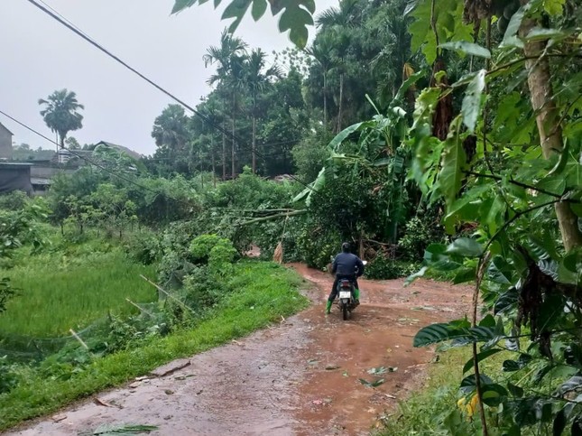 Di dời gần 500 hộ dân ở Hòa Bình, Yên Bái lên phương án di dời hơn 10.000 người để tránh bão- Ảnh 5.