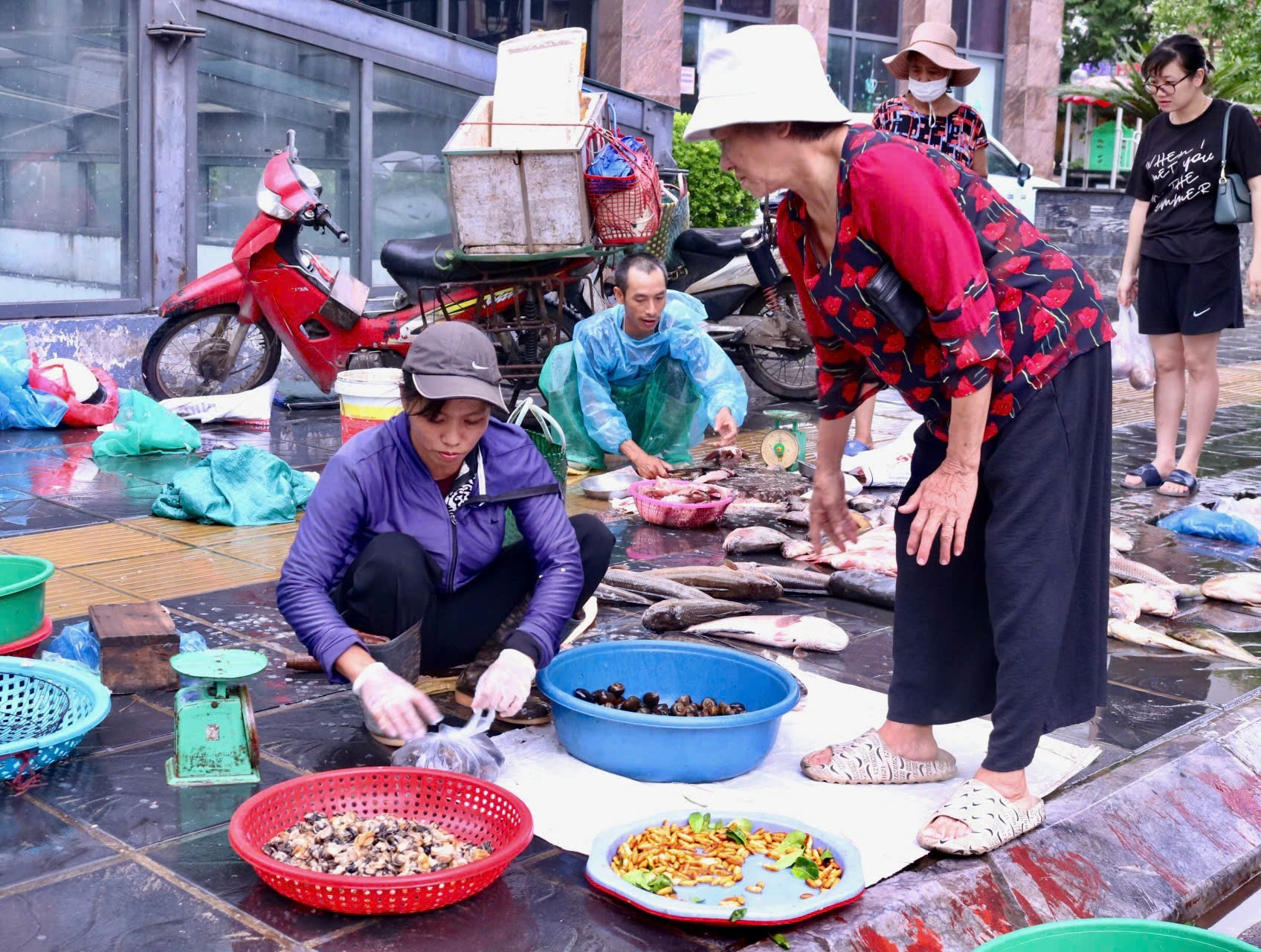 Chợ sớm sau bão: Vắng bóng tiểu thương, rau xanh tăng gấp rưỡi- Ảnh 7.