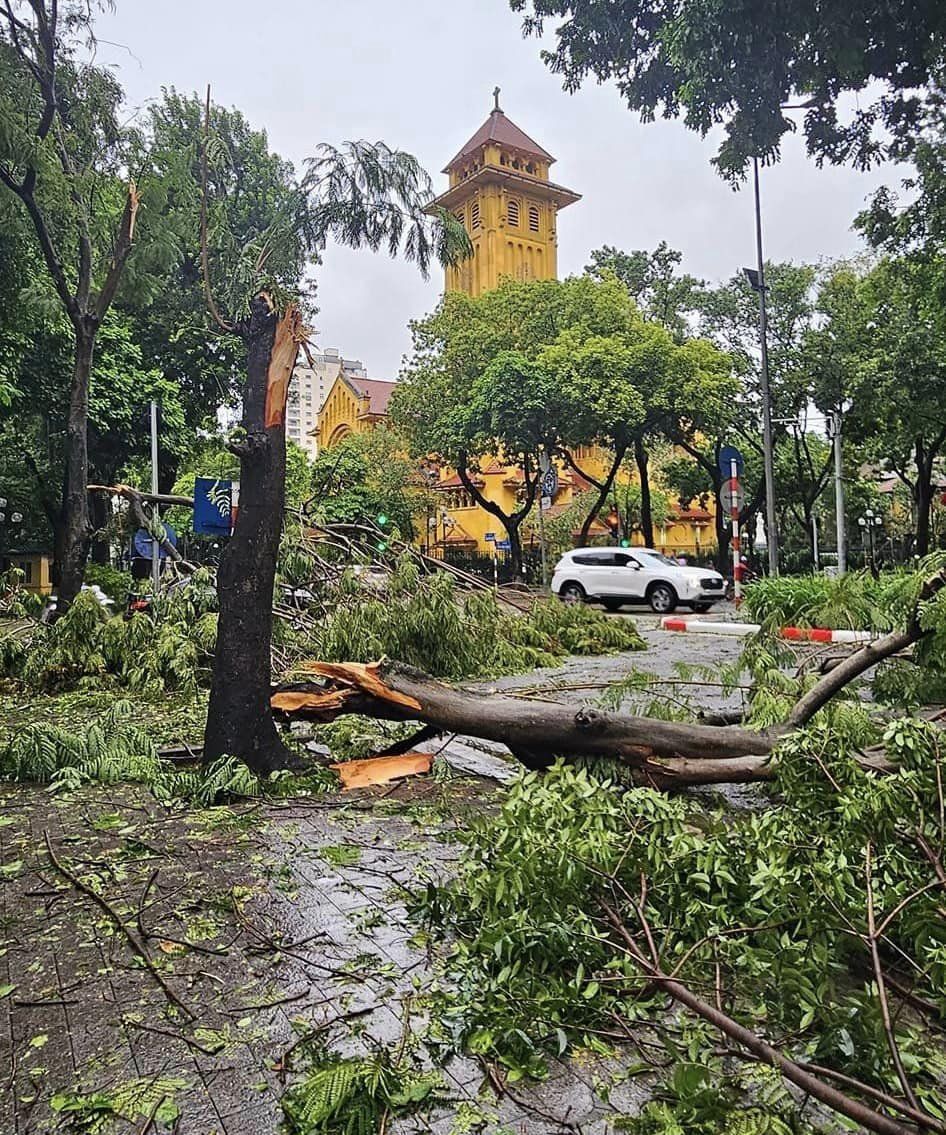 Thêm 3 địa điểm nổi tiếng của Hà Nội có cây đổ do bão khiến nhiều người ngỡ ngàng- Ảnh 3.