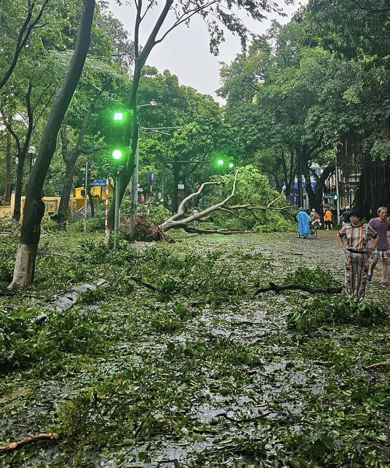 Thêm 3 địa điểm nổi tiếng của Hà Nội có cây đổ do bão khiến nhiều người ngỡ ngàng- Ảnh 4.