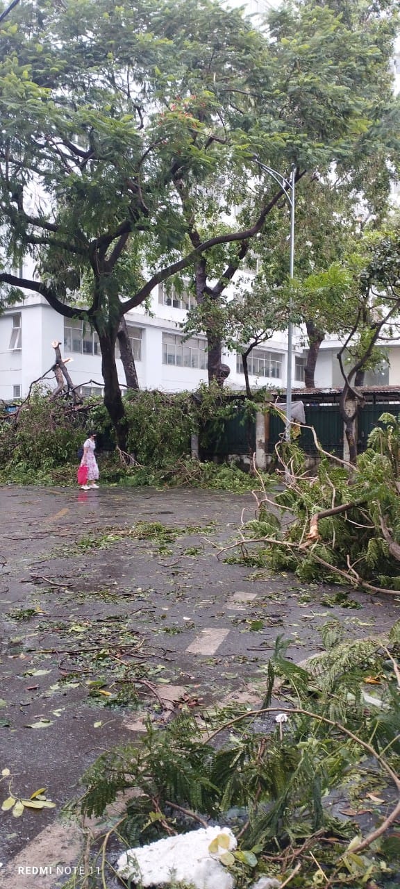 Nhiều trường đại học tại Hà Nội bị hư hại sau 