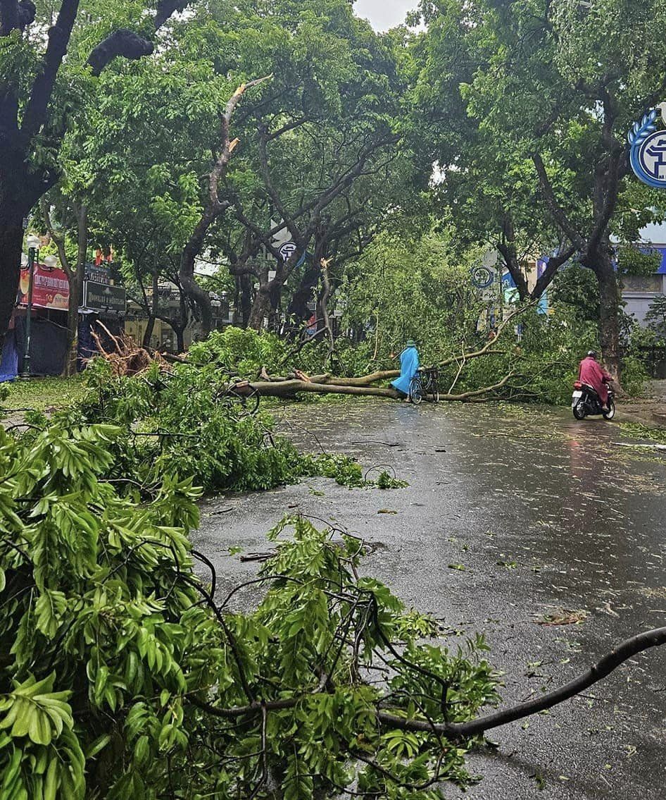 Thêm 3 địa điểm nổi tiếng của Hà Nội có cây đổ do bão khiến nhiều người ngỡ ngàng- Ảnh 5.