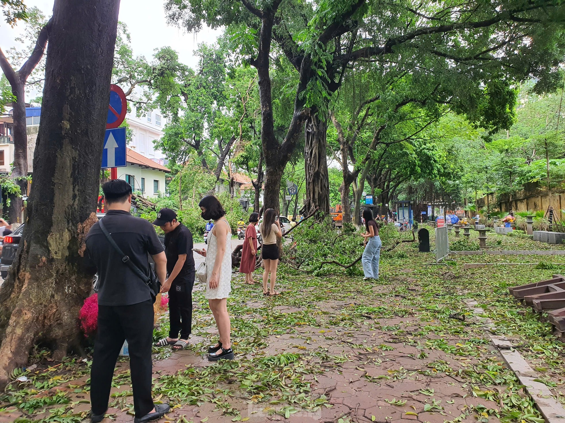 Mặc cây đổ la liệt, nhiều người vẫn ‘mê’ check-in trên tuyến đường nổi tiếng đẹp nhất Hà Nội- Ảnh 17.