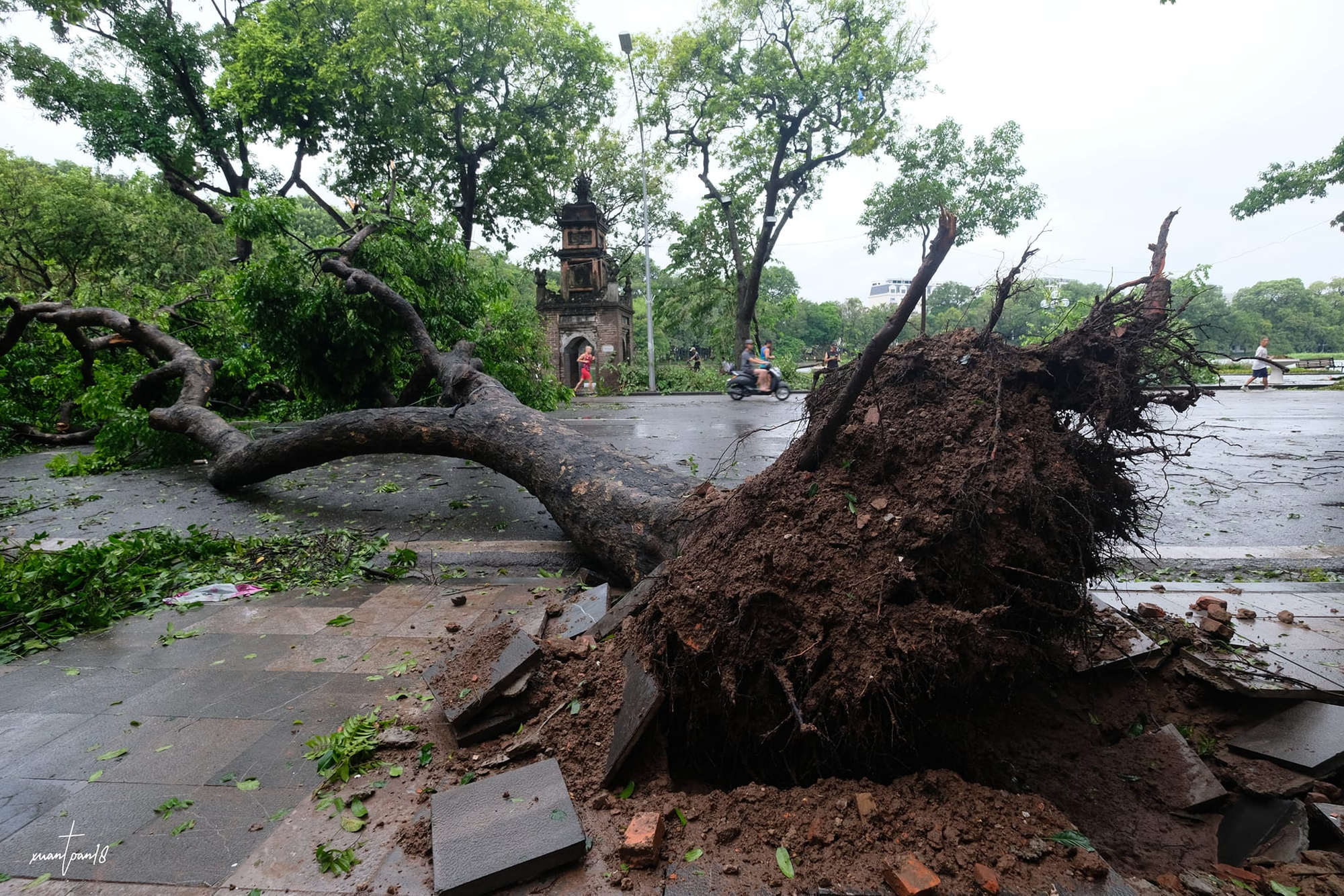 Con đường của những "n&agrave;ng thơ" ở H&agrave; Nội tan hoang sau b&atilde;o Yagi- Ảnh 23.