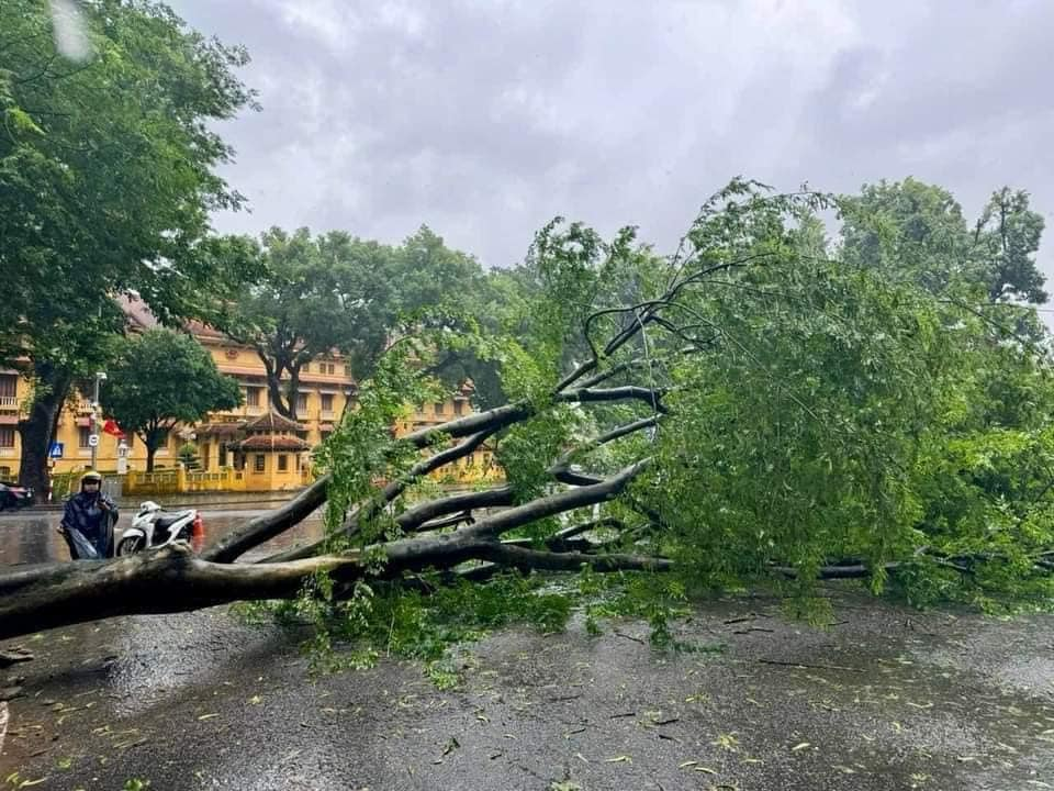 Con đường của những "n&agrave;ng thơ" ở H&agrave; Nội tan hoang sau b&atilde;o Yagi- Ảnh 15.