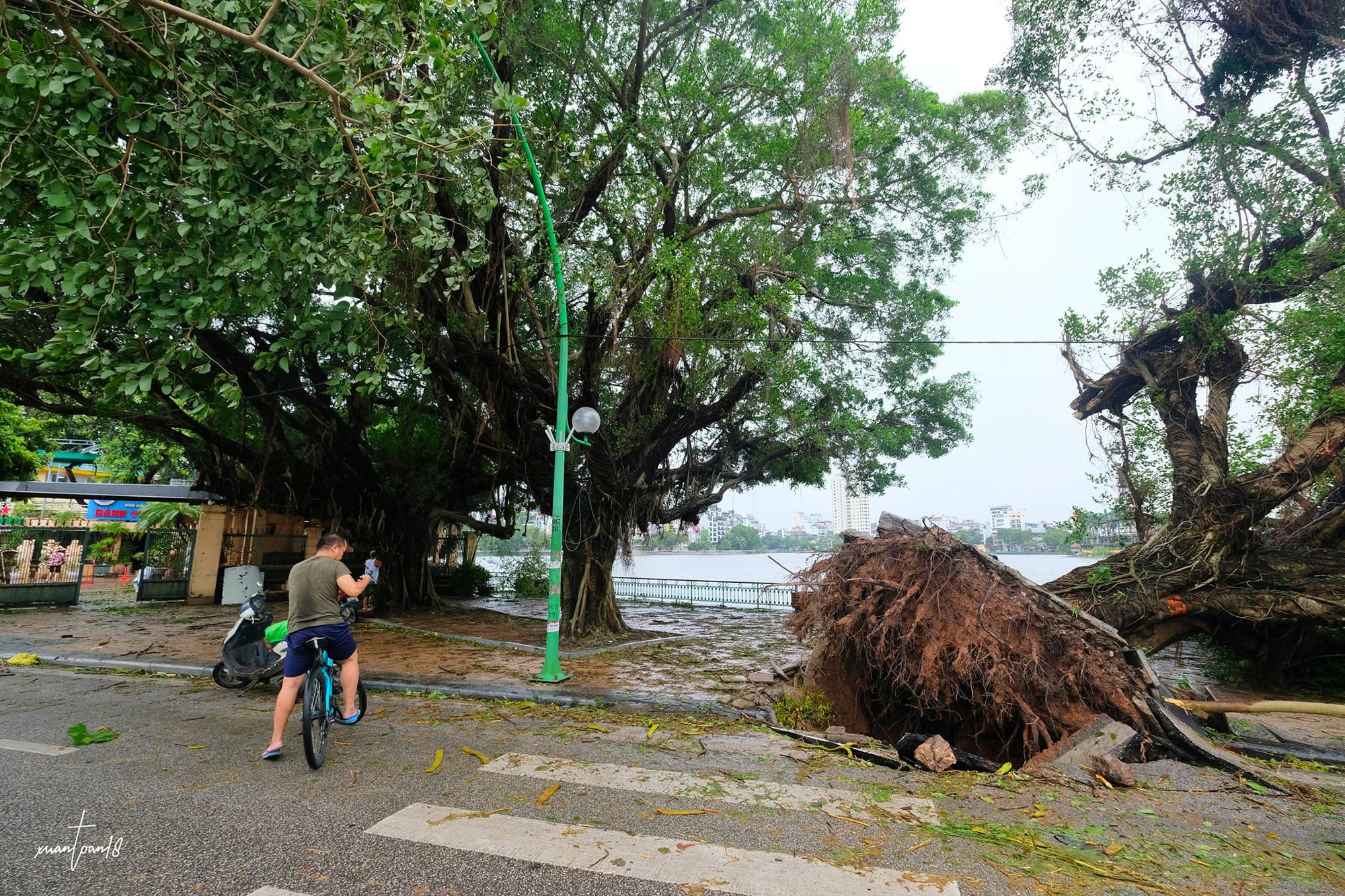Con đường của những "n&agrave;ng thơ" ở H&agrave; Nội tan hoang sau b&atilde;o Yagi- Ảnh 22.