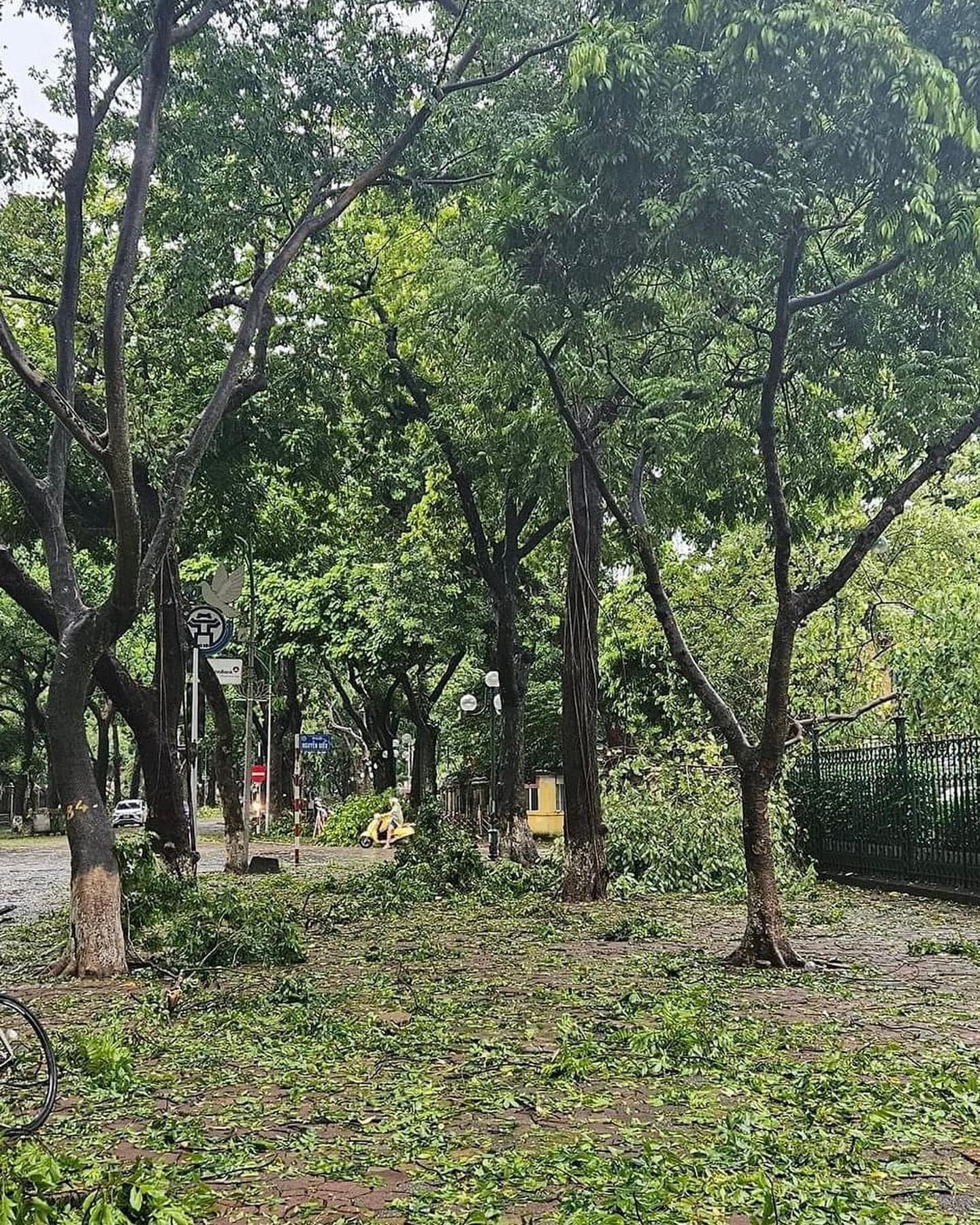 Con đường của những "n&agrave;ng thơ" ở H&agrave; Nội tan hoang sau b&atilde;o Yagi- Ảnh 9.