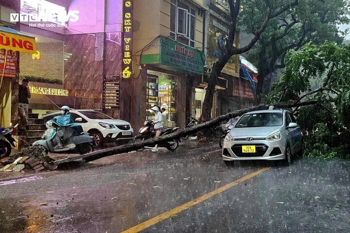 Nh&agrave; h&agrave;ng, &ocirc; t&ocirc; bị b&atilde;o Yagi ph&aacute; hủy sẽ được bồi thường thế n&agrave;o?- Ảnh 1.