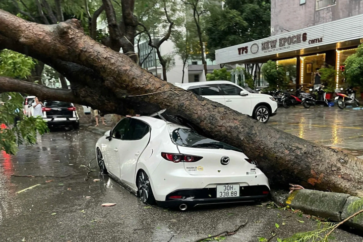 Nh&agrave; h&agrave;ng, &ocirc; t&ocirc; bị b&atilde;o Yagi ph&aacute; hủy sẽ được bồi thường thế n&agrave;o?- Ảnh 2.