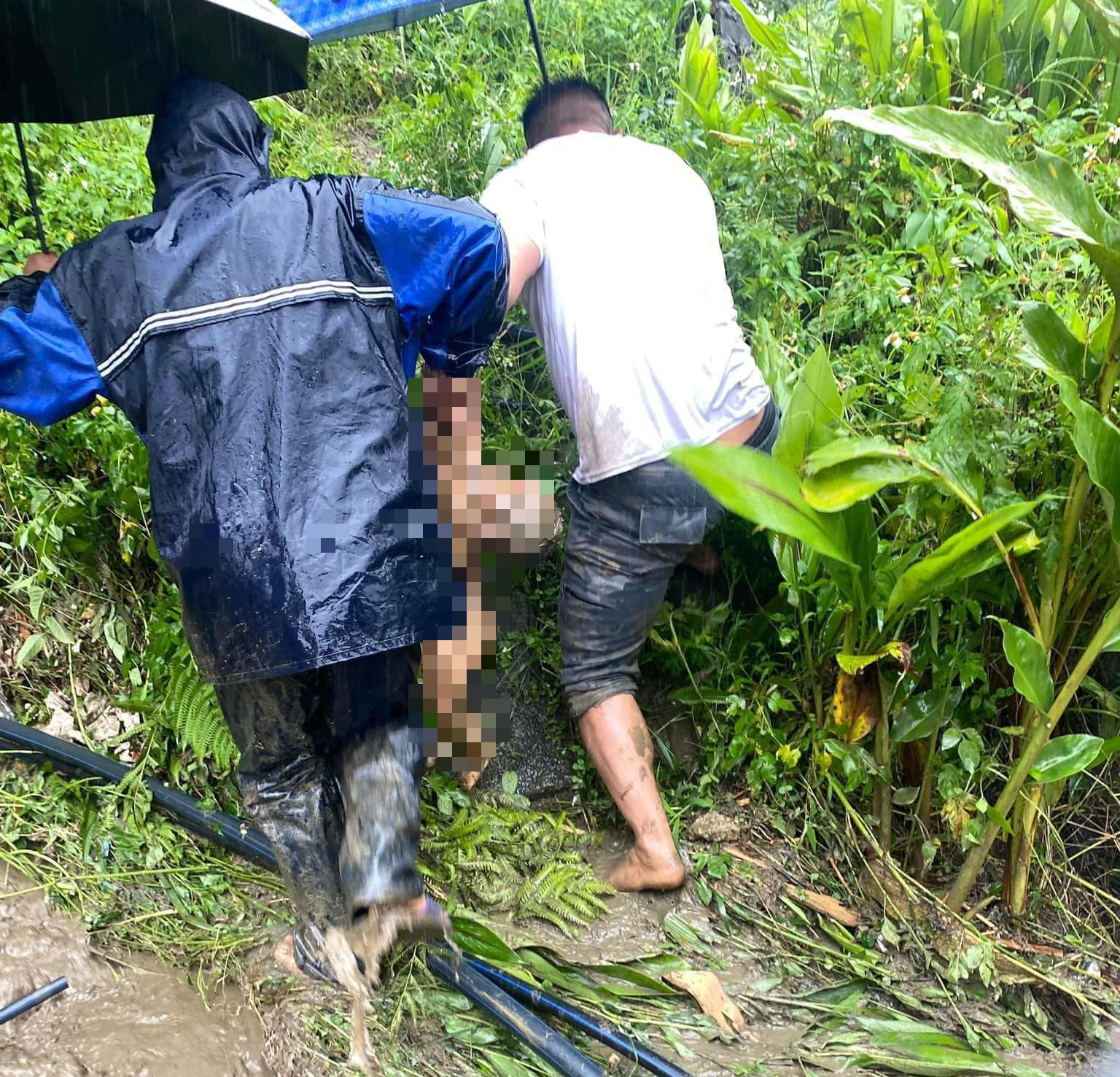 Vụ sạt lở làm nhiều người tử vong tại Sa Pa (Lào Cai): Vẫn đang tìm kiếm cháu bé 4 tháng tuổi- Ảnh 1.