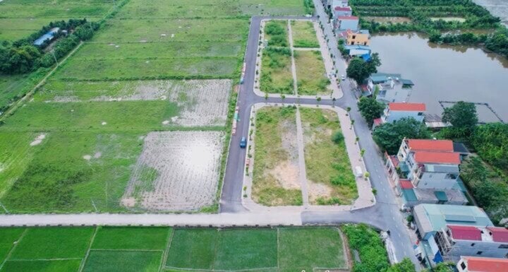 Đấu giá đất Thanh Oai: Người trúng giá hơn 100 triệu đồng/m2 bỏ cọc- Ảnh 1.