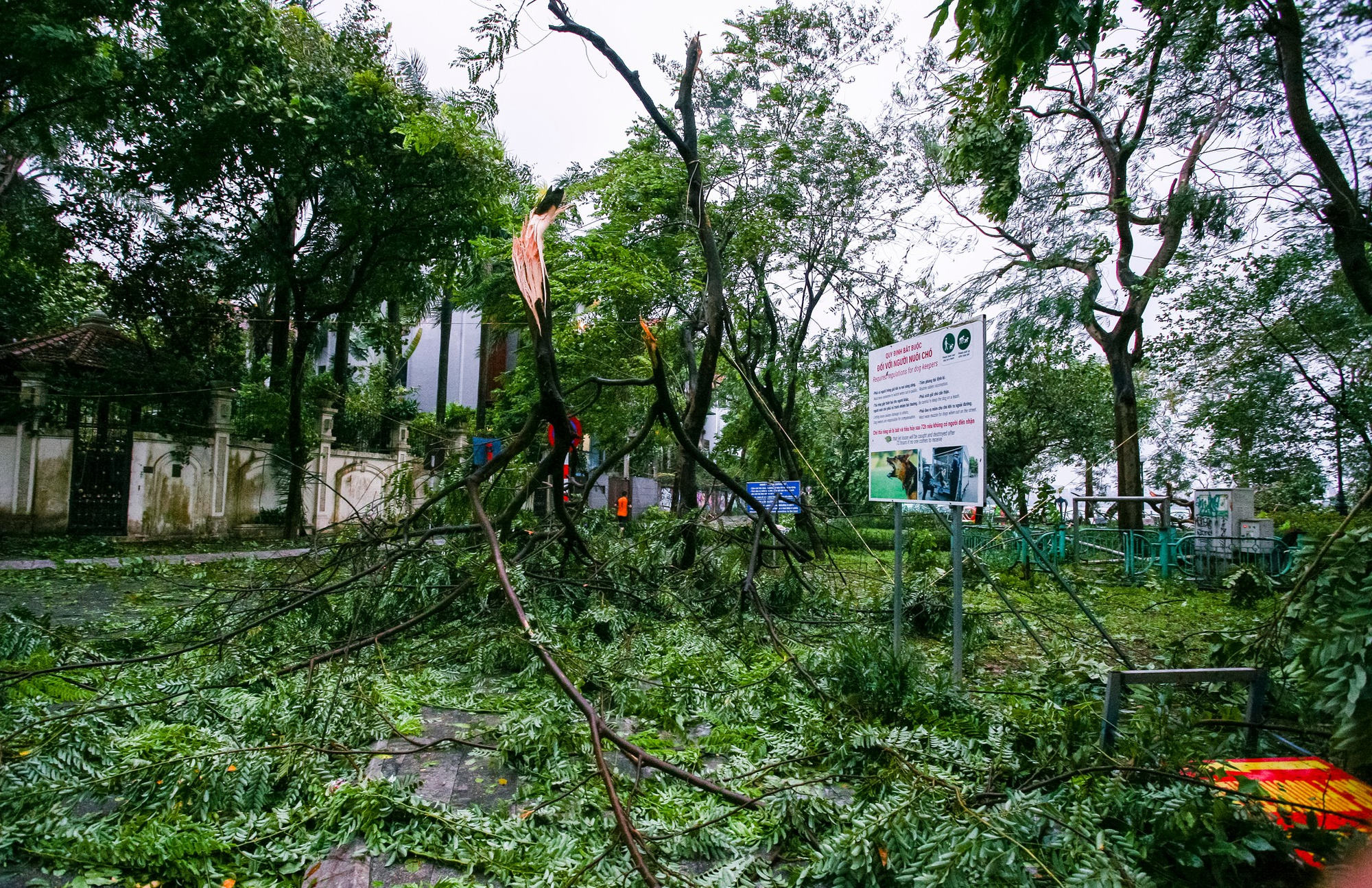 Con đường của những "n&agrave;ng thơ" ở H&agrave; Nội tan hoang sau b&atilde;o Yagi- Ảnh 26.