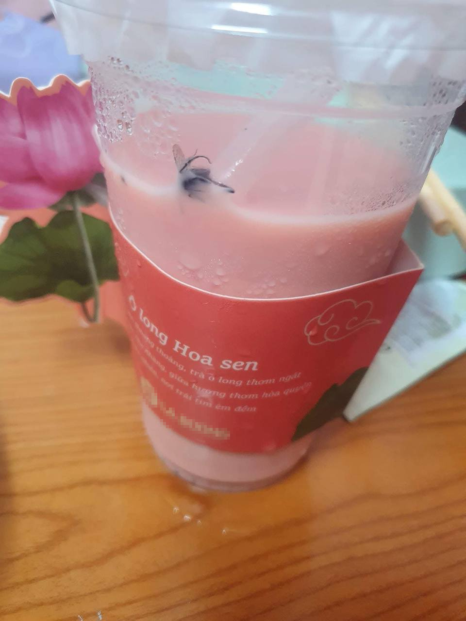 Xôn xao hình ảnh con ruồi trong cốc trà sữa của thương hiệu nổi tiếng ở Hà Nội- Ảnh 2.