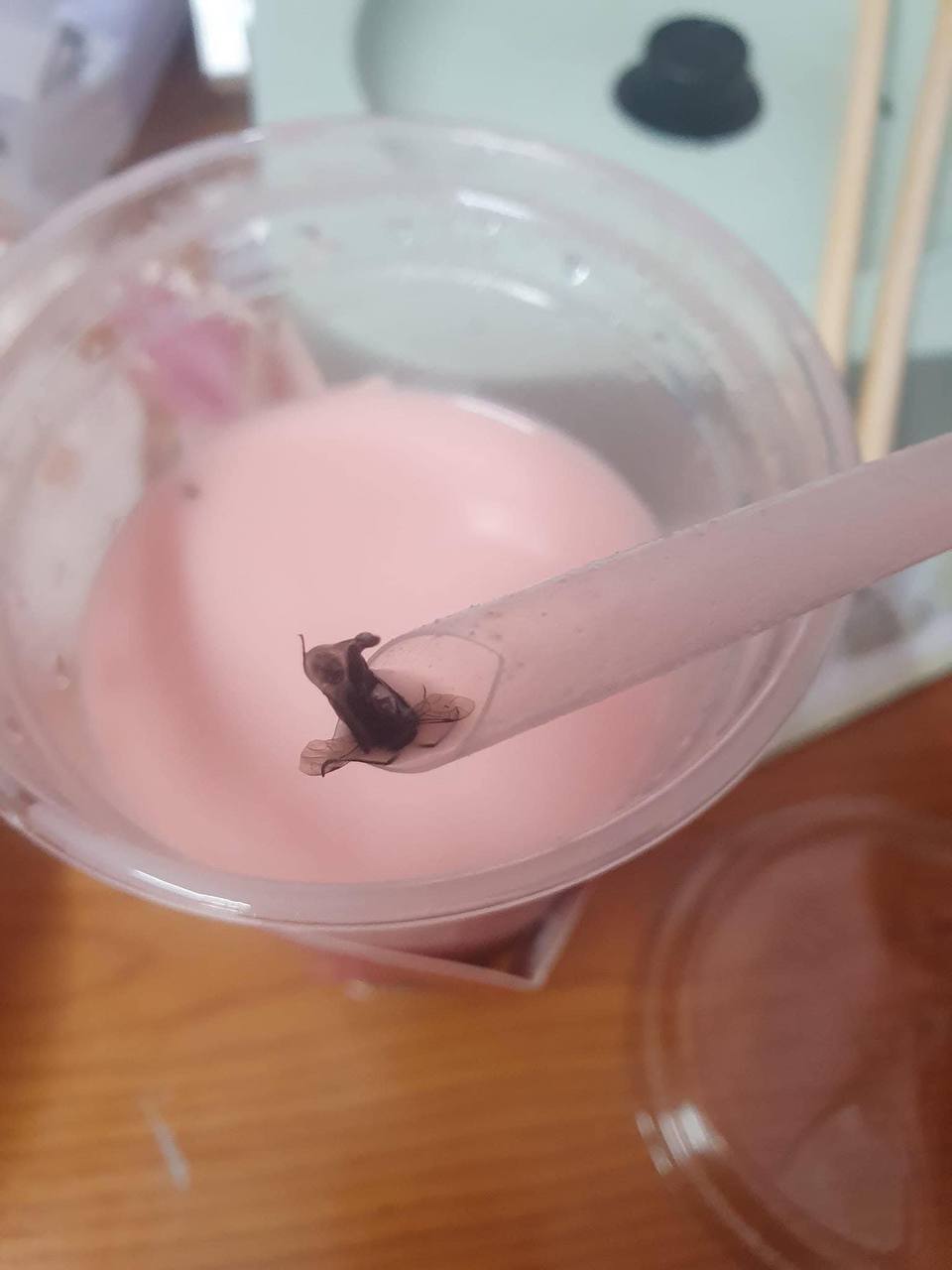 Xôn xao hình ảnh con ruồi trong cốc trà sữa của thương hiệu nổi tiếng ở Hà Nội- Ảnh 4.
