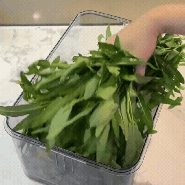 Nhìn cách cô gái dùng hộp để cất thực phẩm mà mê: Rau củ để cả tuần không hỏng, tủ lạnh sạch sẽ, gọn gàng- Ảnh 10.