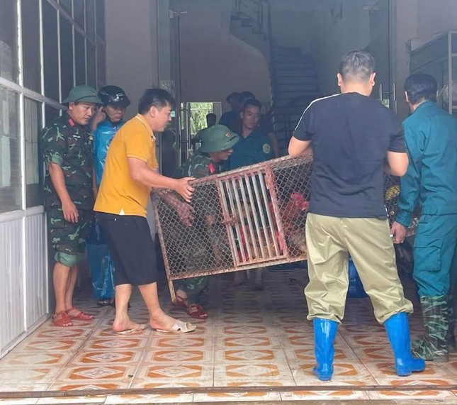 Trắng đ&ecirc;m chạy lũ ở Lạng Sơn- Ảnh 8.