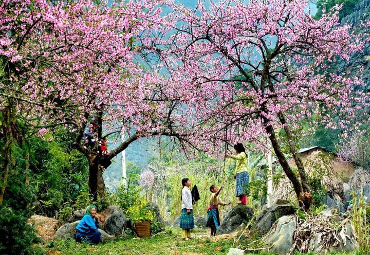 Độc đáo ngày Tết sớm hơn cả nước một tháng của người Mông nơi cuối trời Tây Bắc- Ảnh 1.