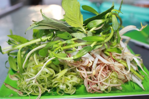 Loại rau chứa đầy vi khuẩn được đánh giá bẩn dù không cần Loại rau chứa đầy vi khuẩn được đánh giá bẩn dù không cần