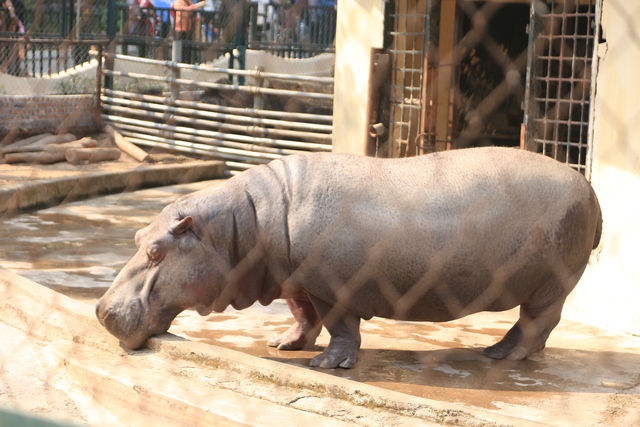 Chỉ được nghỉ 1 ng&agrave;y Tết dương, người d&acirc;n H&agrave; Nội lựa chọn nơi n&agrave;y l&agrave; điểm đến l&yacute; tưởng cho cả gia đ&igrave;nh- Ảnh 9.