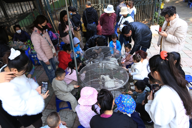 Chỉ được nghỉ 1 ng&agrave;y Tết dương, người d&acirc;n H&agrave; Nội lựa chọn nơi n&agrave;y l&agrave; điểm đến l&yacute; tưởng cho cả gia đ&igrave;nh- Ảnh 7.