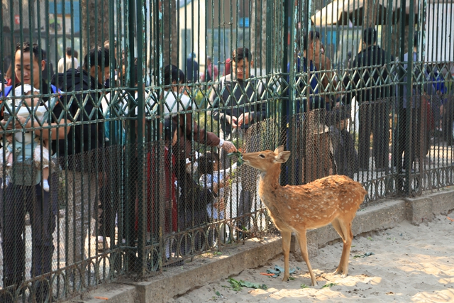 Chỉ được nghỉ 1 ng&agrave;y Tết dương, người d&acirc;n H&agrave; Nội lựa chọn nơi n&agrave;y l&agrave; điểm đến l&yacute; tưởng cho cả gia đ&igrave;nh- Ảnh 4.